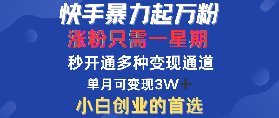 快手暴力起万粉,涨粉只需一星期!多种变现模式-云起副业网