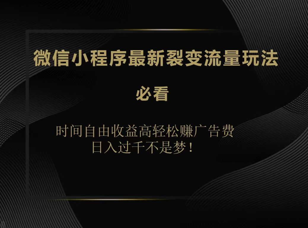 微信小程序最新裂变流量玩法，时间自由收益高轻松赚广告费，日入200-500+-云起副业网