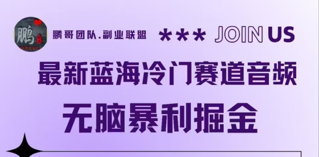 最新蓝海冷门赛道音频，无脑暴利掘金-云起副业网
