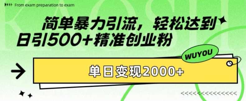 简单暴力引流轻松达到日引500+精准创业粉，单日变现2k【揭秘】-云起副业网