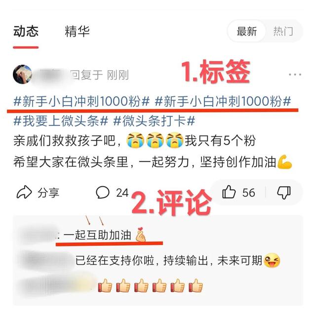 yy直播怎么涨粉(直播要怎么自己涨粉)插图2 yy直播怎么涨粉(直播要怎么自己涨粉)插图2