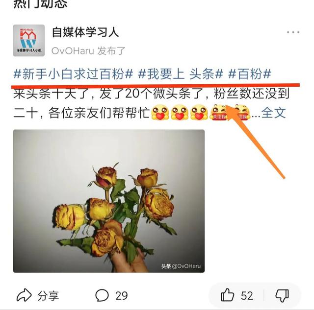 yy直播怎么涨粉(直播要怎么自己涨粉)插图4 yy直播怎么涨粉(直播要怎么自己涨粉)插图4