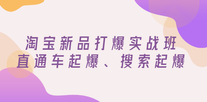 【副业项目3372期】淘宝新品打爆实战班（淘宝店铺如何增加流量和访客）-云起副业网