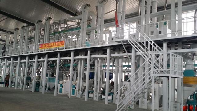 五十吨玉米深加工项目赚钱吗?小型玉米深加工项目有哪些?-云起副业网