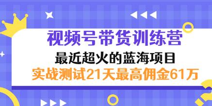 【副业项目3489期】视频号带货训练营，实战测试21天最高佣金61W（视频号带货怎么做）-云起副业网