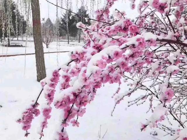 适合普通人做的几个小本生意插图1 适合普通人做的几个小本生意插图1