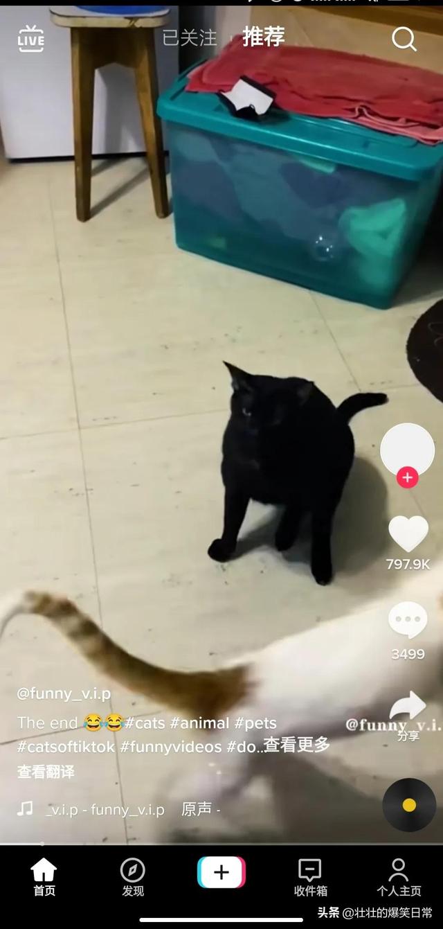 如何使用海外版抖音（国内怎样使用tiktok）-云起副业网