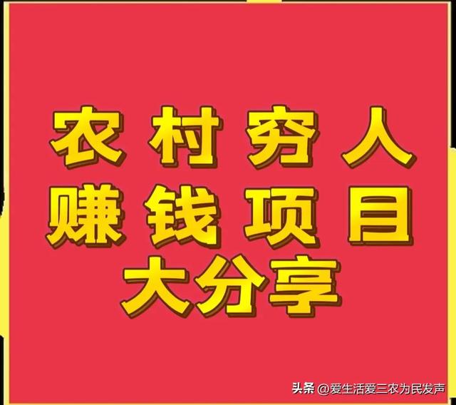 穷人怎么赚钱最快(适合农村穷人创业的项目)插图 穷人怎么赚钱最快(适合农村穷人创业的项目)插图