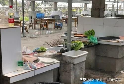 穷人怎么赚钱最快(适合农村穷人创业的项目)插图3 穷人怎么赚钱最快(适合农村穷人创业的项目)插图3