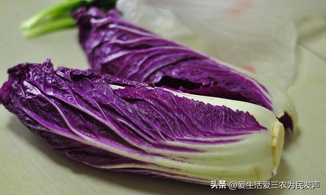 穷人怎么赚钱最快(适合农村穷人创业的项目)插图6 穷人怎么赚钱最快(适合农村穷人创业的项目)插图6