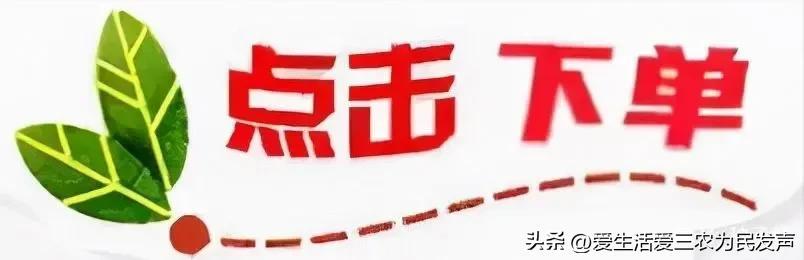 穷人怎么赚钱最快(适合农村穷人创业的项目)插图8 穷人怎么赚钱最快(适合农村穷人创业的项目)插图8
