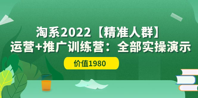 【副业项目3941期】淘系2022【精准人群】运营+推广训练营：全部实操演示-云起副业网
