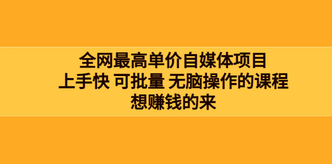 【副业项目3976期】全网最单高价自媒体项目：上手快 可批量 无脑操作的课程，想赚钱的来-云起副业网