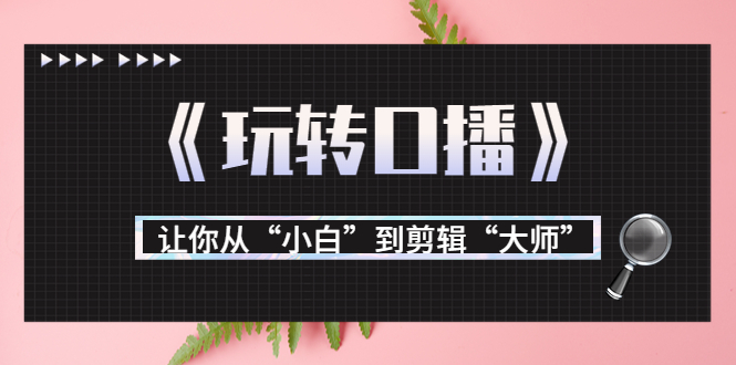 【副业项目3987期】月营业额700万+大佬教您《玩转口播》让你从“小白”到剪辑“大师”-云起副业网