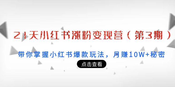 【副业项目4158期】21天小红书涨粉变现营（第3期）：带你掌握小红书爆款玩法，月赚10W+秘密-云起副业网