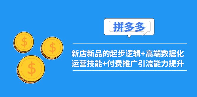 【副业项目4181期】2022拼多多：新店新品的起步逻辑+高端数据化运营技能+付费推广引流能力提升-云起副业网