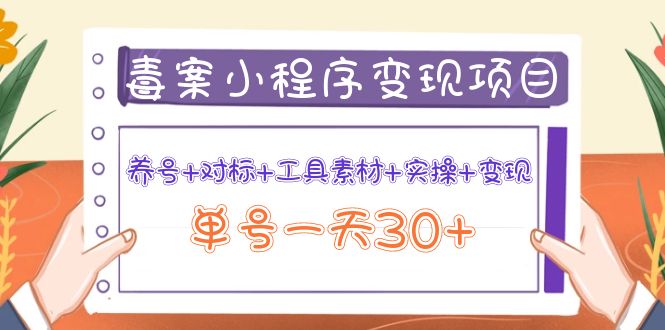 【副业项目4214期】图文案小程序变现项目：养号+对标+工具素材+实操+变现，单号一天30+-云起副业网