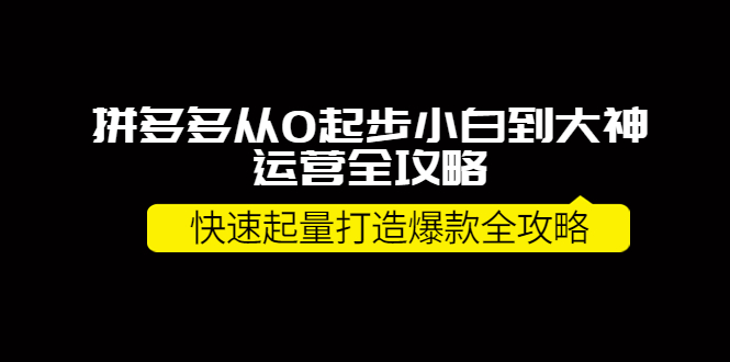 【副业项目4227期】拼多多从0起步小白到大神运营全攻略，快速起量打造10W+爆款全攻略-云起副业网