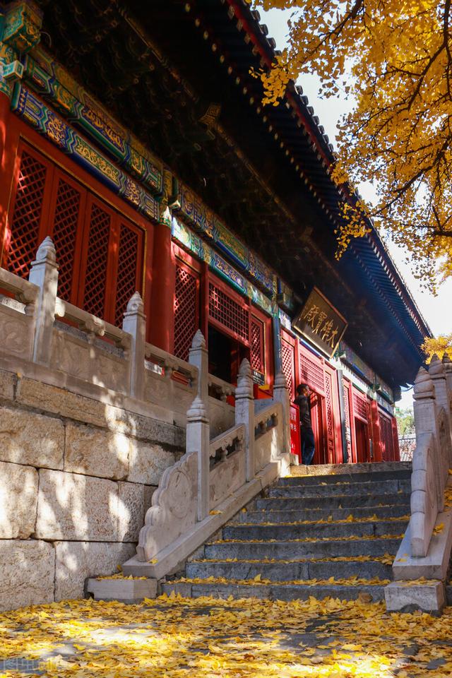 成年穷人的出路在哪里,如何实现财富自由插图 成年穷人的出路在哪里,如何实现财富自由插图