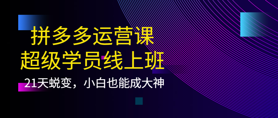 【副业项目4260期】拼多多运营课：超级学员线上班，21天蜕变，小白也能成大神-云起副业网