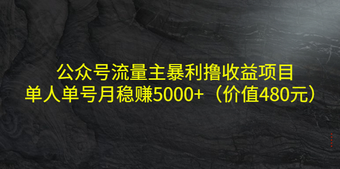 【副业项目4325期】公众号流量主暴利撸收益项目，单人单号月稳赚5000+（价值480元-云起副业网