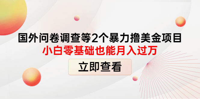 【副业项目4372期】国外问卷调查等2个暴力撸美金项目，小白零基础也能月入过万-云起副业网