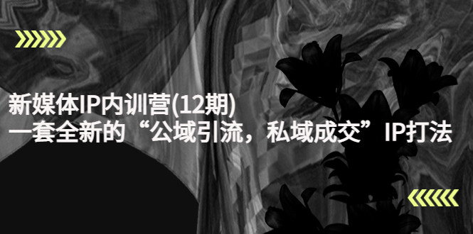 【副业项目4405期】新媒体IP内训营(12期):一套全新的“公域引流,私域成交”IP打法,直接带走-云起副业网