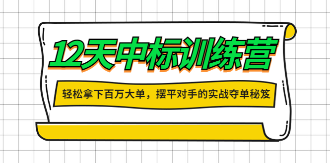 【副业项目4416期】12天中标训练营：轻松拿下百万大单，摆平对手的实战夺单秘笈-云起副业网