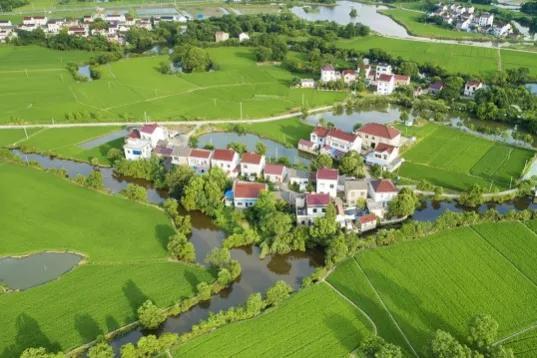 这6类项目在农村正成香馍馍?返乡创业摸准门路,年入百万不是梦农村商机好项目有哪些插图 这6类项目在农村正成香馍馍?返乡创业摸准门路,年入百万不是梦农村商机好项目有哪些插图