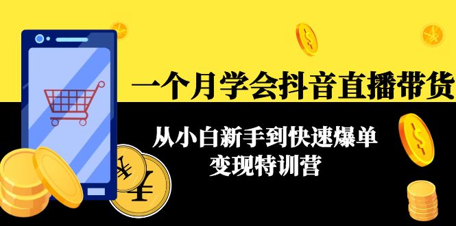 【副业项目4577期】一个月学会抖音直播带货：从小白新手到快速爆单变现特训营(63节课)-云起副业网