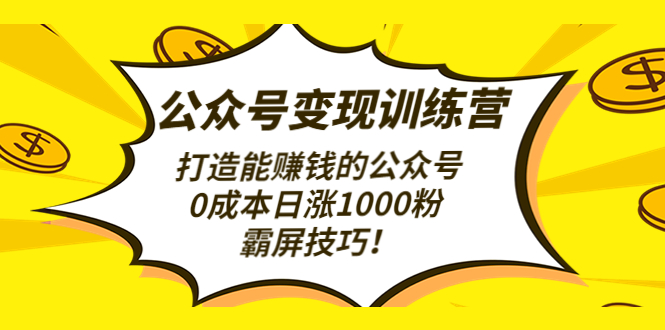 【副业项目4828期】公众号变现训练营（第3期）打造能赚钱的公众号，0成本日涨1000粉，霸屏技巧-云起副业网
