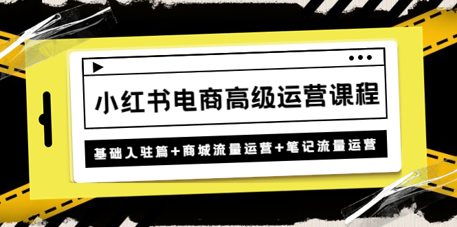 【副业项目4879期】小红书电商高级运营课程：基础入驻篇+商城流量运营+笔记流量运营-云起副业网