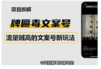 【副业项目4912期】2023抖音快手毒文案新玩法，牌匾文案号，起号快易变现-云起副业网