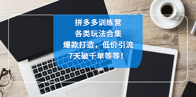【副业项目4925期】拼多多训练营：各玩法合集，爆款打造，低价引流，7天破千单等等-云起副业网