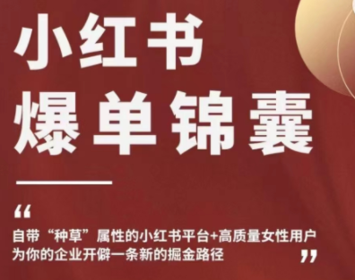 【副业项目4942期】小红书爆单锦囊，自带种草属性+高质量女性用户，为你的企业开辟一条新的掘金路径-云起副业网