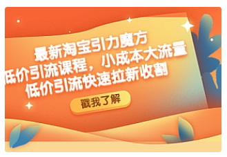 【副业项目4943期】最新淘宝引力魔方低价引流实操：小成本大流量，低价引流快速拉新收割-云起副业网