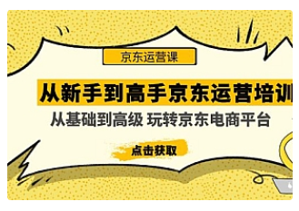 【副业项目5010期】从新手到高手京东运营培训：从基础到高级 玩转京东电商平台-云起副业网