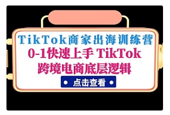 【副业项目5013期】TikTok商家出海训练营：0-1快速上手 TikTok跨境电商底层逻辑-云起副业网