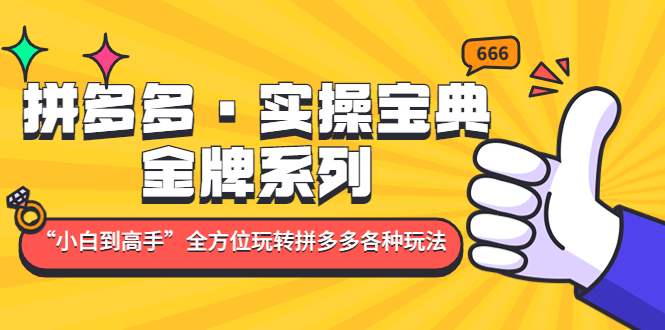 【副业项目5130期】拼多多·实操宝典：金牌系列“小白到高手”带你全方位玩转拼多多各种玩法-云起副业网