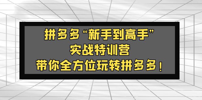 【副业项目5317期】拼多多“新手到高手”实战特训营：带你全方位玩转拼多多-云起副业网