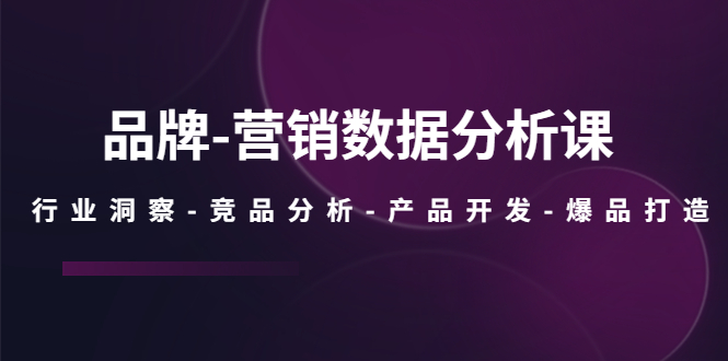 【副业项目5644期】品牌-营销数据分析课，行业洞察-竞品分析-产品开发-爆品打造-云起副业网