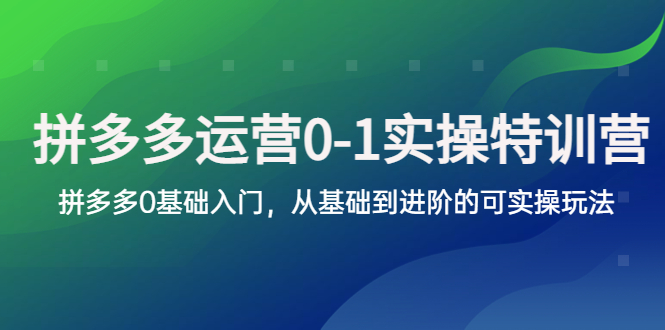 【副业项目5801期】拼多多-运营0-1实操训练营，拼多多0基础入门，从基础到进阶的可实操玩法-云起副业网