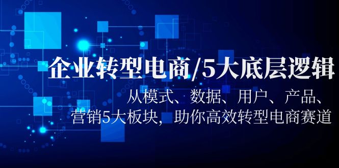 【副业项目5960期】企业转型电商/5大底层逻辑，从模式 数据 用户 产品 营销5大板块，高效转型-云起副业网