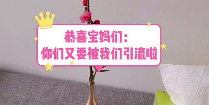 【副业项目5918期】恭喜宝妈们：你们又要被我们引流了（教程+222g资料）-云起副业网