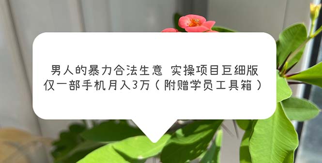 【副业项目5982期】男人的暴力合法生意实操项目巨细版：仅一部手机月入3w（附赠学员工具箱）-云起副业网