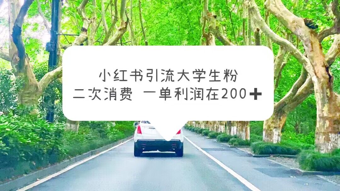 【副业项目5937期】小红书引流大学生粉，变现项目，一单利润在200+（教程+资源）-云起副业网