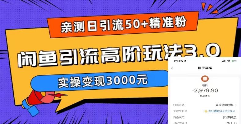 【副业项目5795期】实测日引50+精准粉，闲鱼引流高阶玩法3.0，实操变现3000元-云起副业网