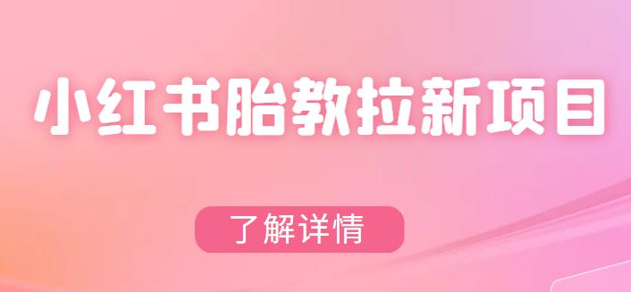 【副业项目6099期】小红书胎教网盘拉新项目，可在私域变现两次（作品制作教程+素材）-云起副业网