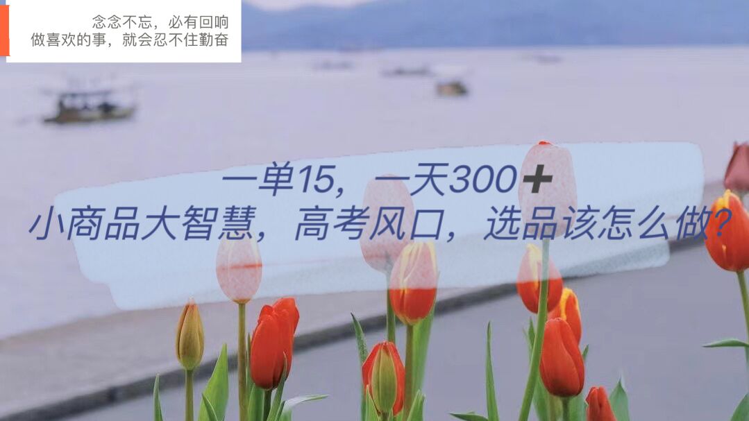【副业项目6119期】一单15,一天300+,小商品大智慧,高考风口,选品该怎么布局-云起副业网