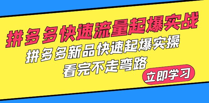 【副业项目6310期】拼多多-快速流量起爆实战，拼多多新品快速起爆实操，看完不走弯路-云起副业网